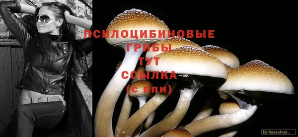 амфетамин Новокубанск
