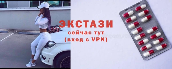 прущие грибы Новозыбков