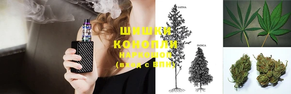 соль ск Алексин