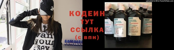 прущие грибы Новозыбков