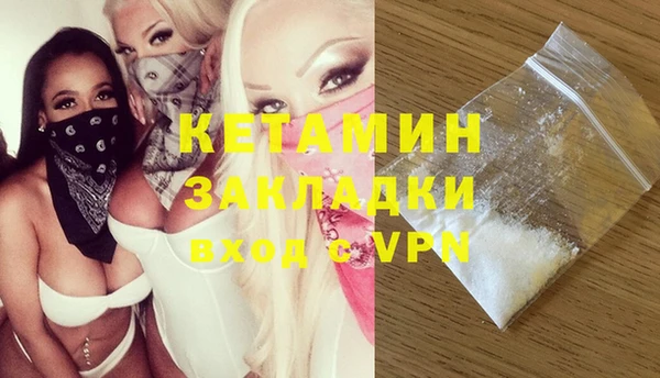 прущие грибы Новозыбков