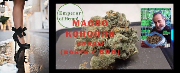 прущие грибы Новозыбков