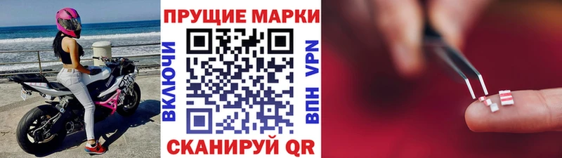 где найти   Чаплыгин  Марки N-bome 1,8мг 